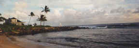 hawaii_panoramic2.jpg (32616 bytes)